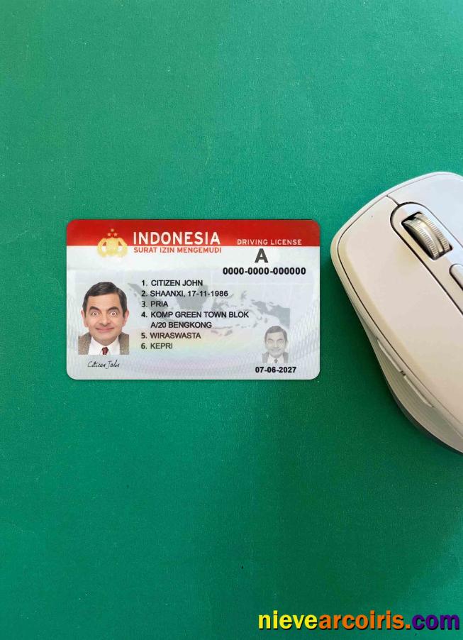 Indonesia driving license (2019 – present)  photolook